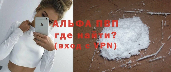 стафф Арсеньев