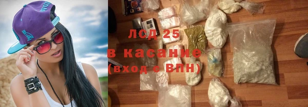 стафф Арсеньев