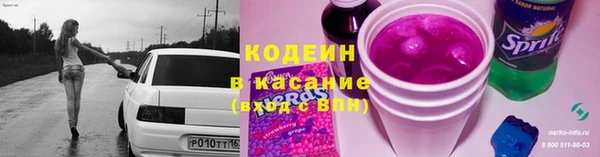 гидра Аркадак
