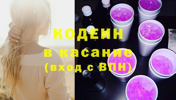 стафф Арсеньев